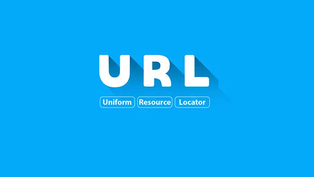 去除 WordPress 前端 URL 中的多余查询参数-成品源码-好优选