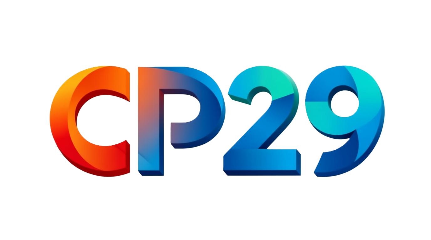 CP29成品站